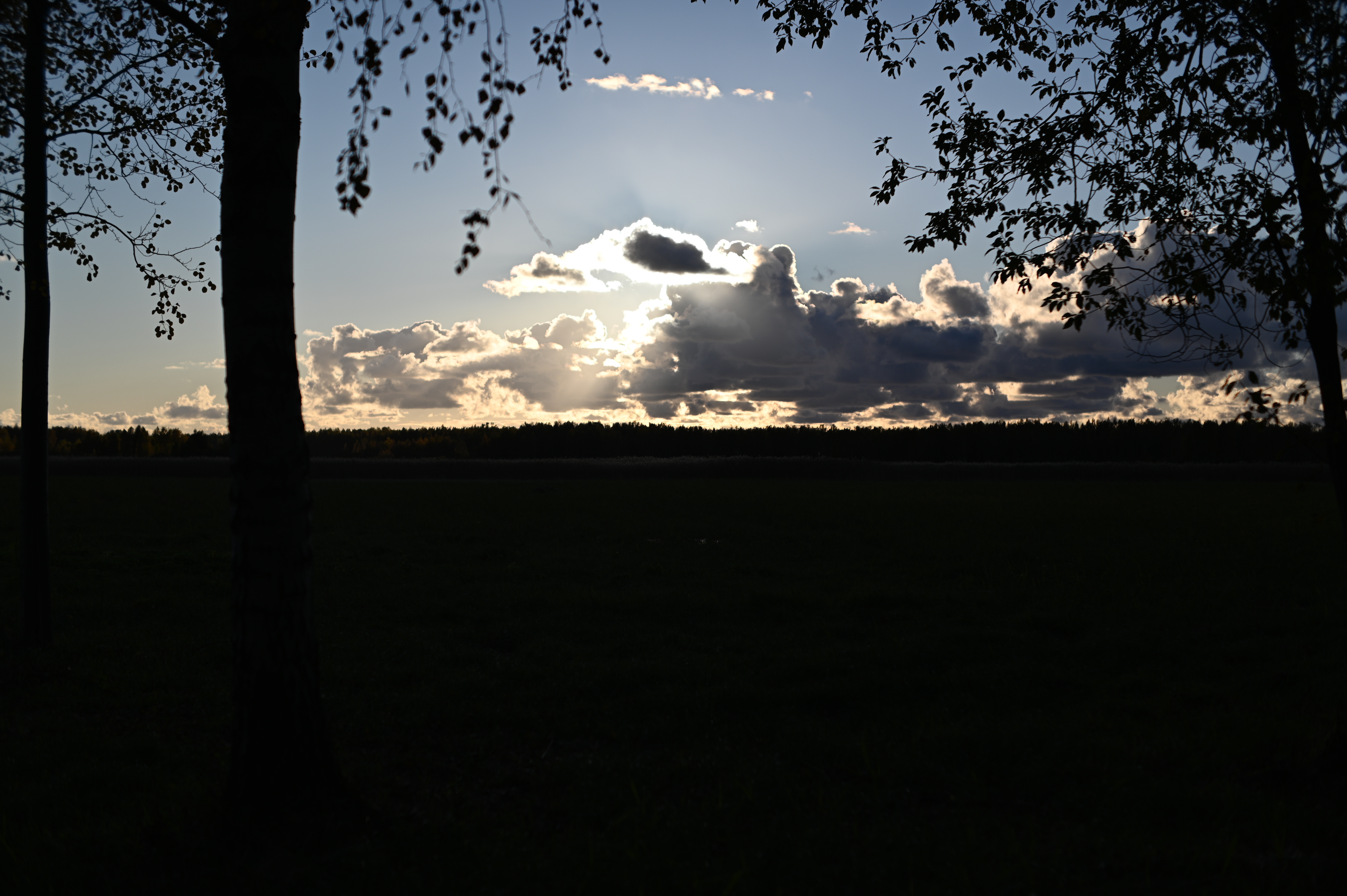 2025/10/18 - walk/DSC_0179.JPG